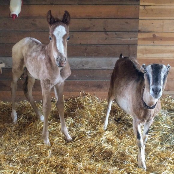 Meet your Posher, Erin - Picture 6 of 6